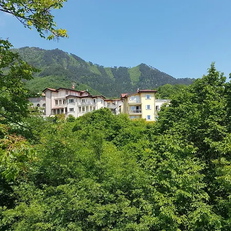 La Opale 티날레
